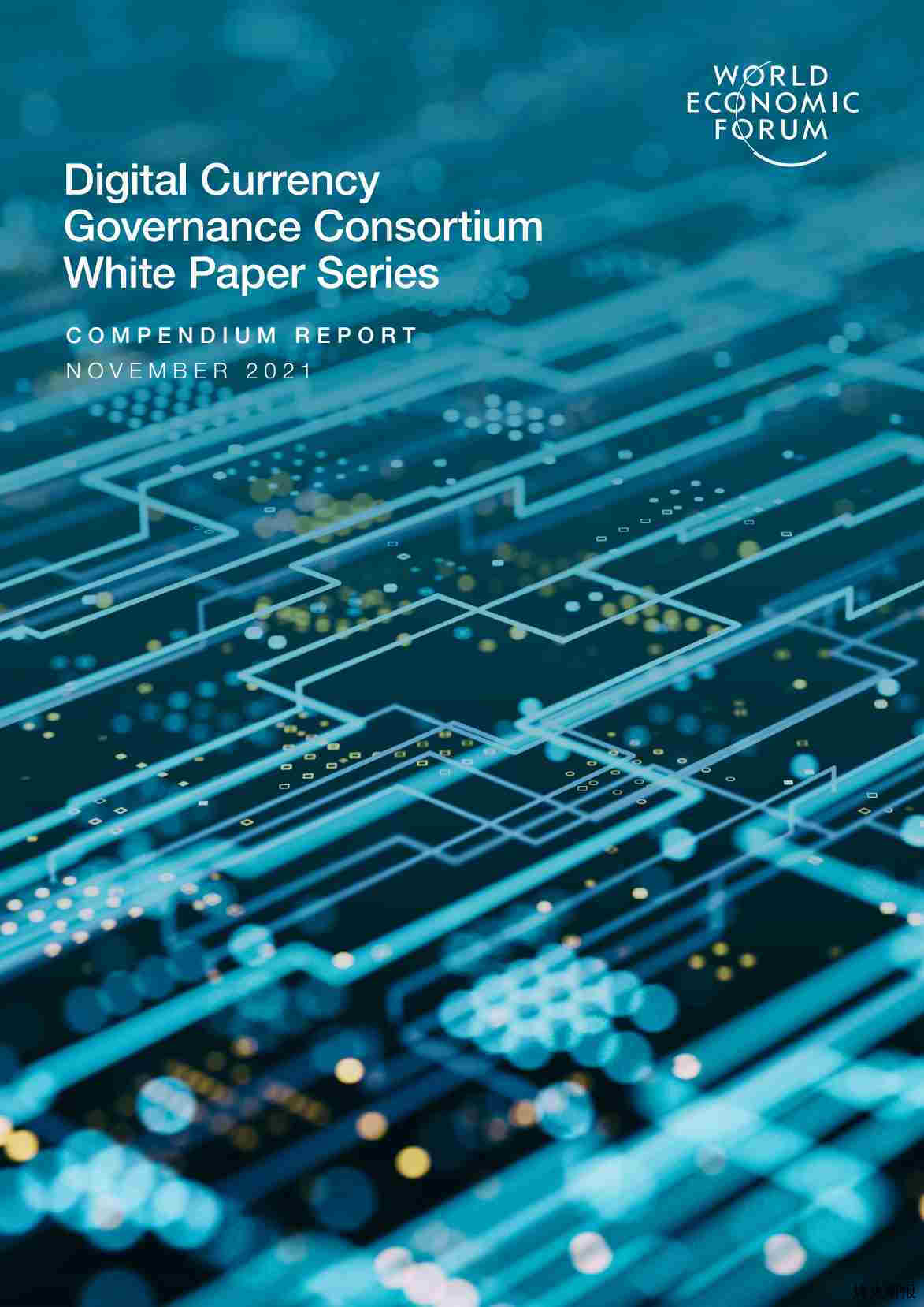 【世界经济论坛】DigitalCurrencyGovernanceConsortiumWhitePaperSeries.pdf-第一页