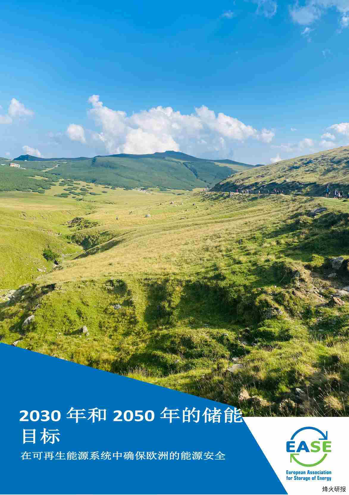 【EASE】2030年和2050年的储能目标.pdf-第一页