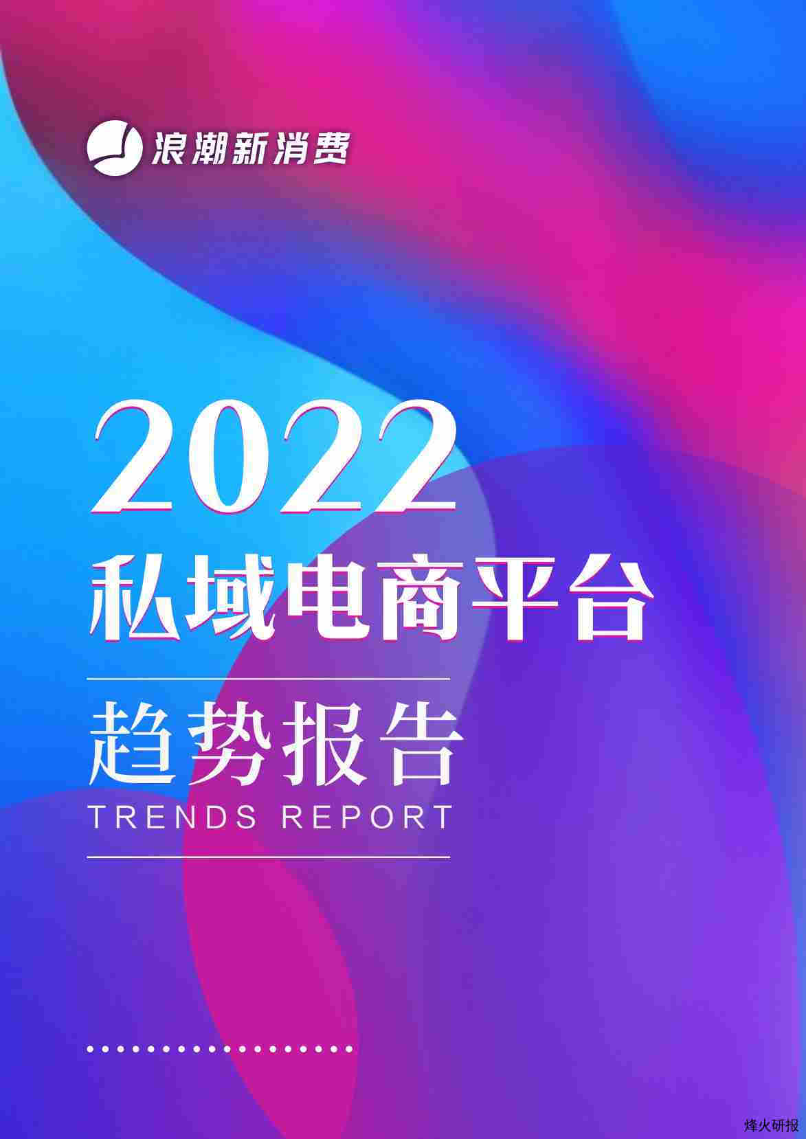 2022私域电商平台趋势报告.pdf-第一页
